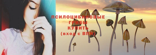 хмурый Алзамай