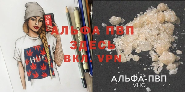 хмурый Алзамай