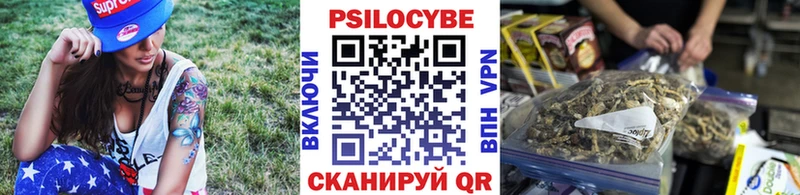 Галлюциногенные грибы Psilocybe  дарнет шоп  Саров 